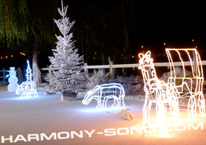 Décor neige artificielle avec accessoires et guillandes lumineuses - PARIS