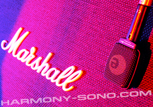 Micro Sennheiser E906 Location matériel sonorisation pour concert, spectacle : Location micro Sennheiser E906